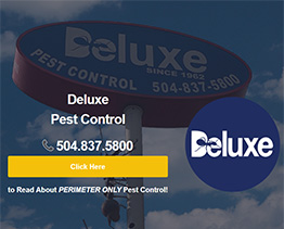 website screenshot of Deluxe Pest Control website
